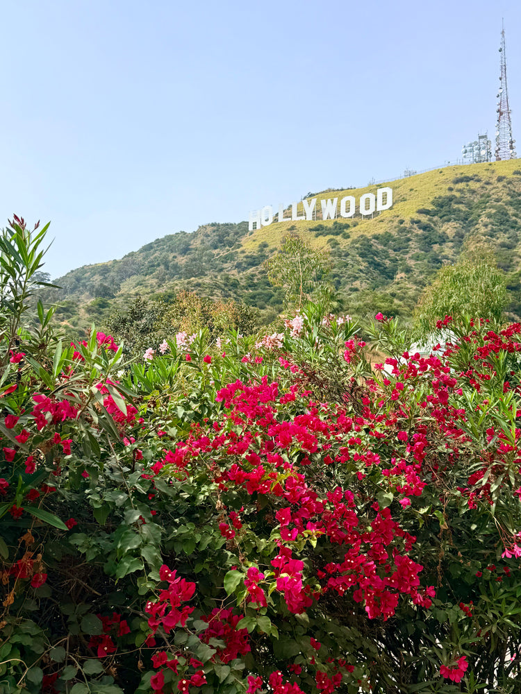 Los Angeles