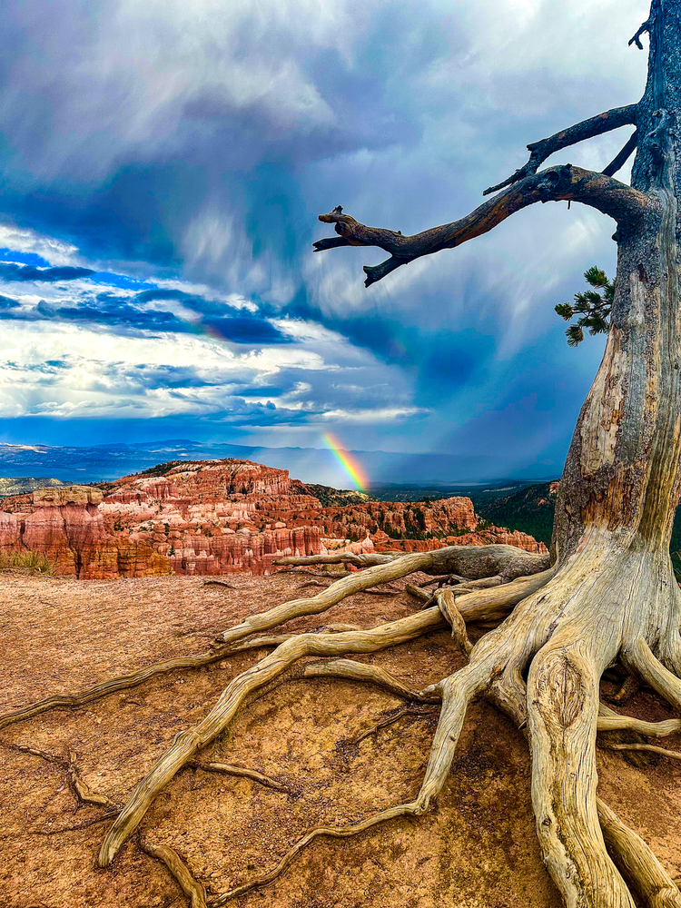 Bryce Canyon National Park