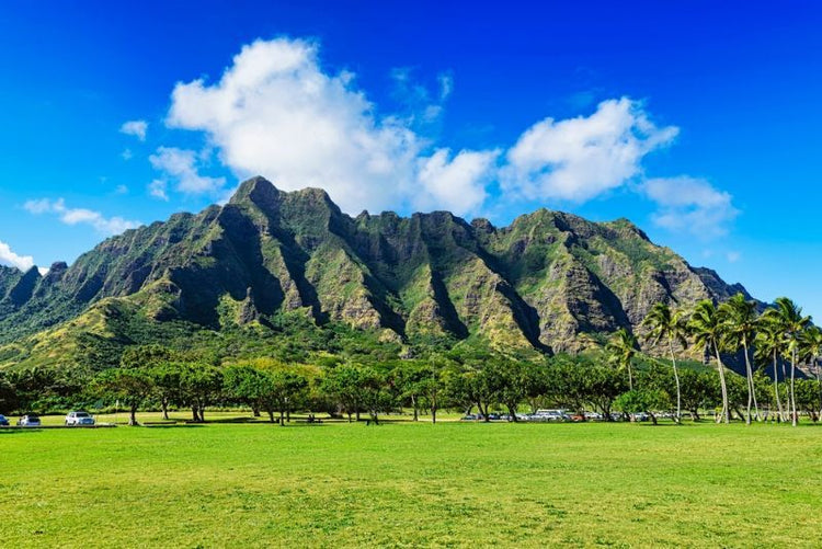 Windward Coast &amp; North Shore