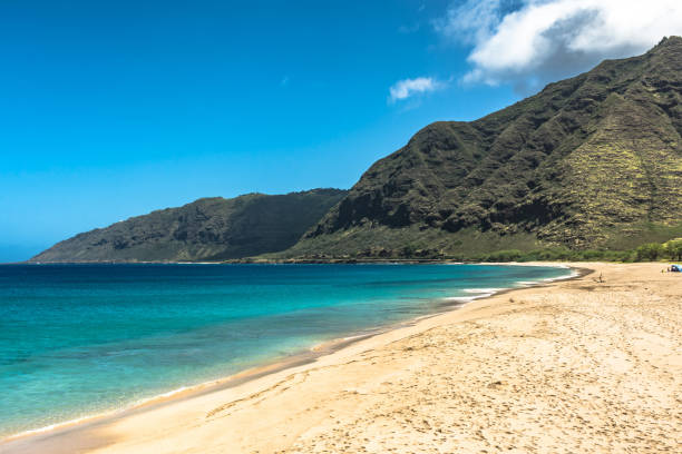 Leeward Coast